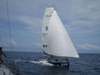 Transat569_2