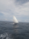 Transat569c