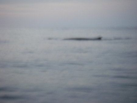 Imgp0064