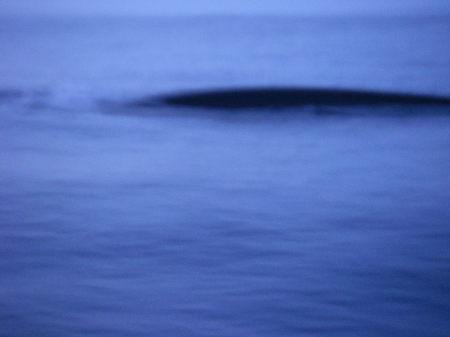 Imgp0071_2